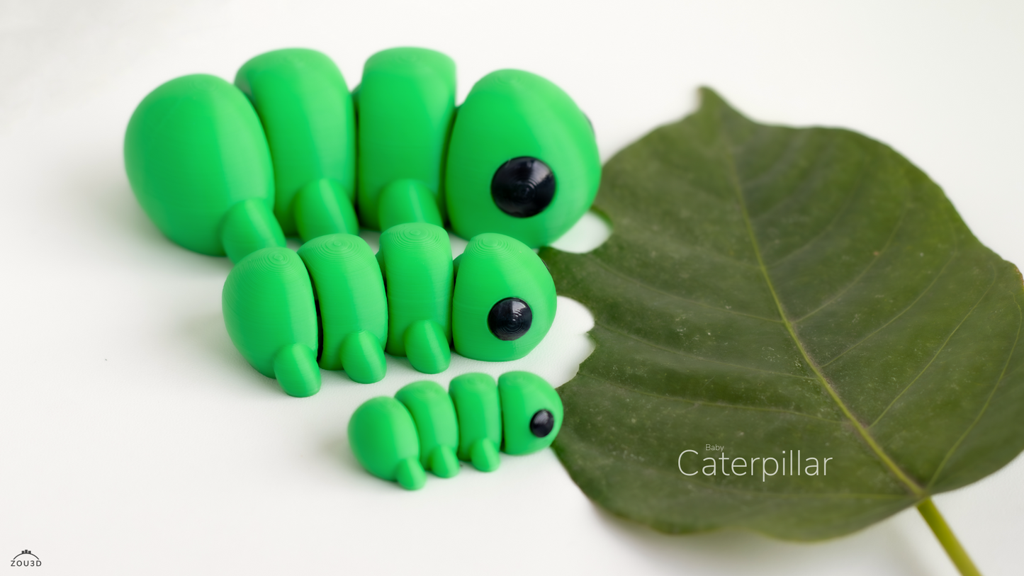 Baby Caterpillar