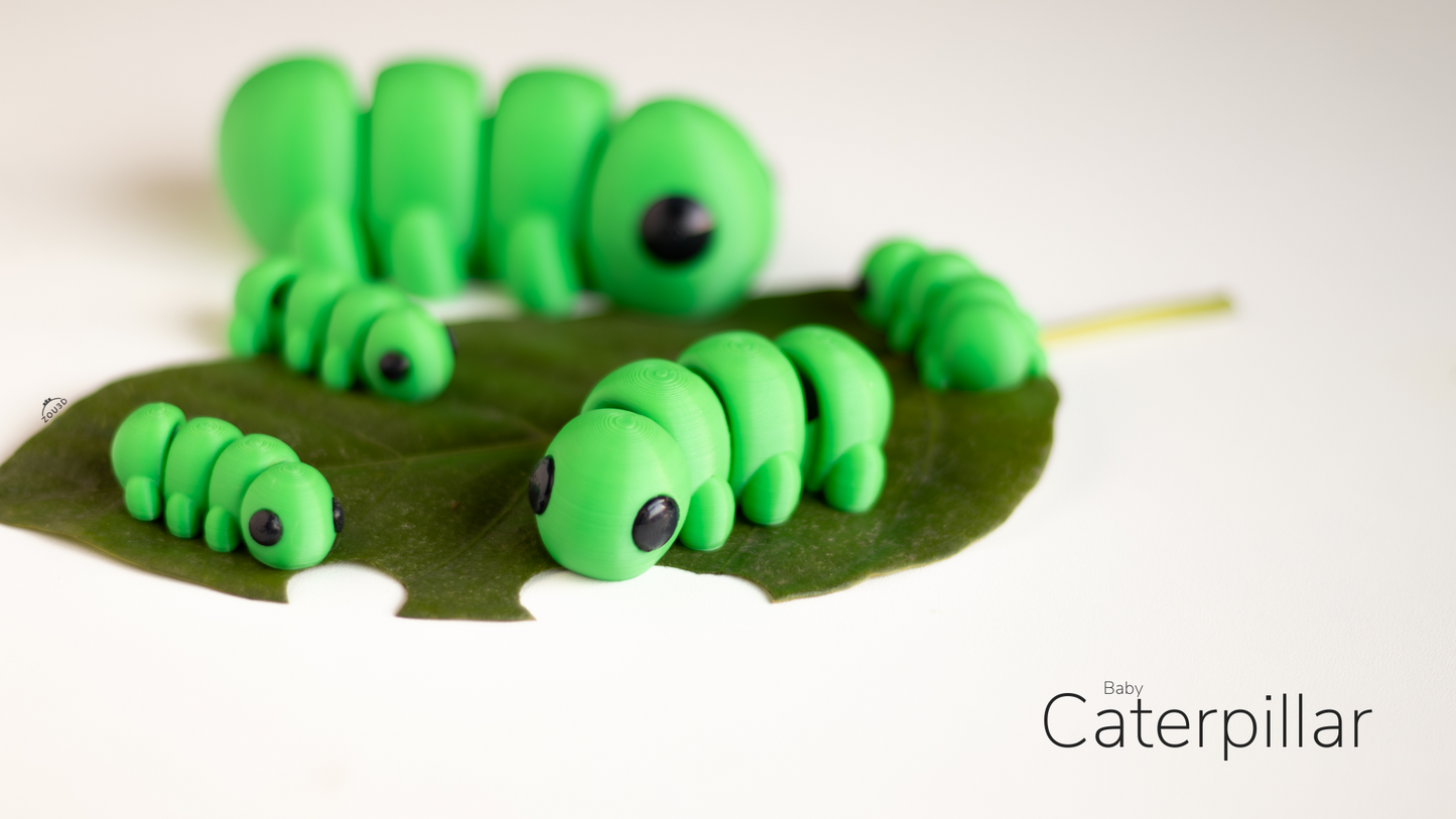 Baby Caterpillar