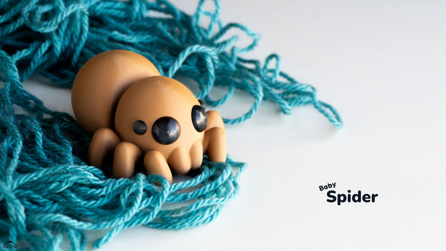 Baby Spider