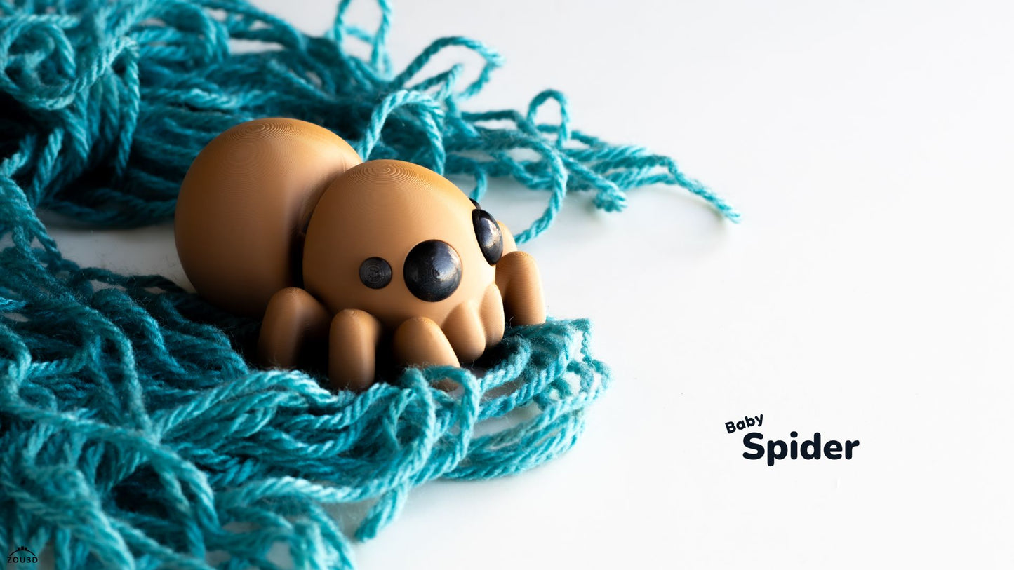 Baby Spider
