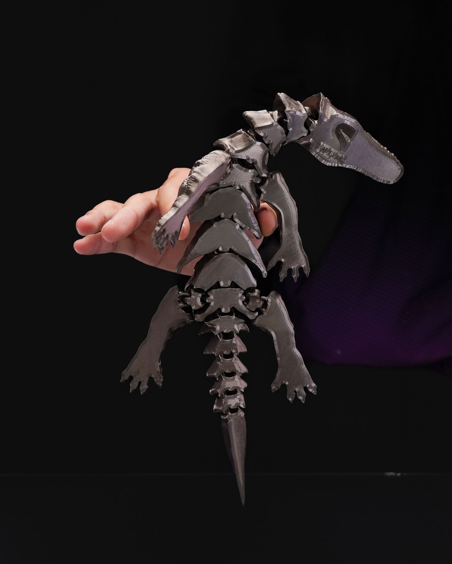 Articulated Nothosaurus