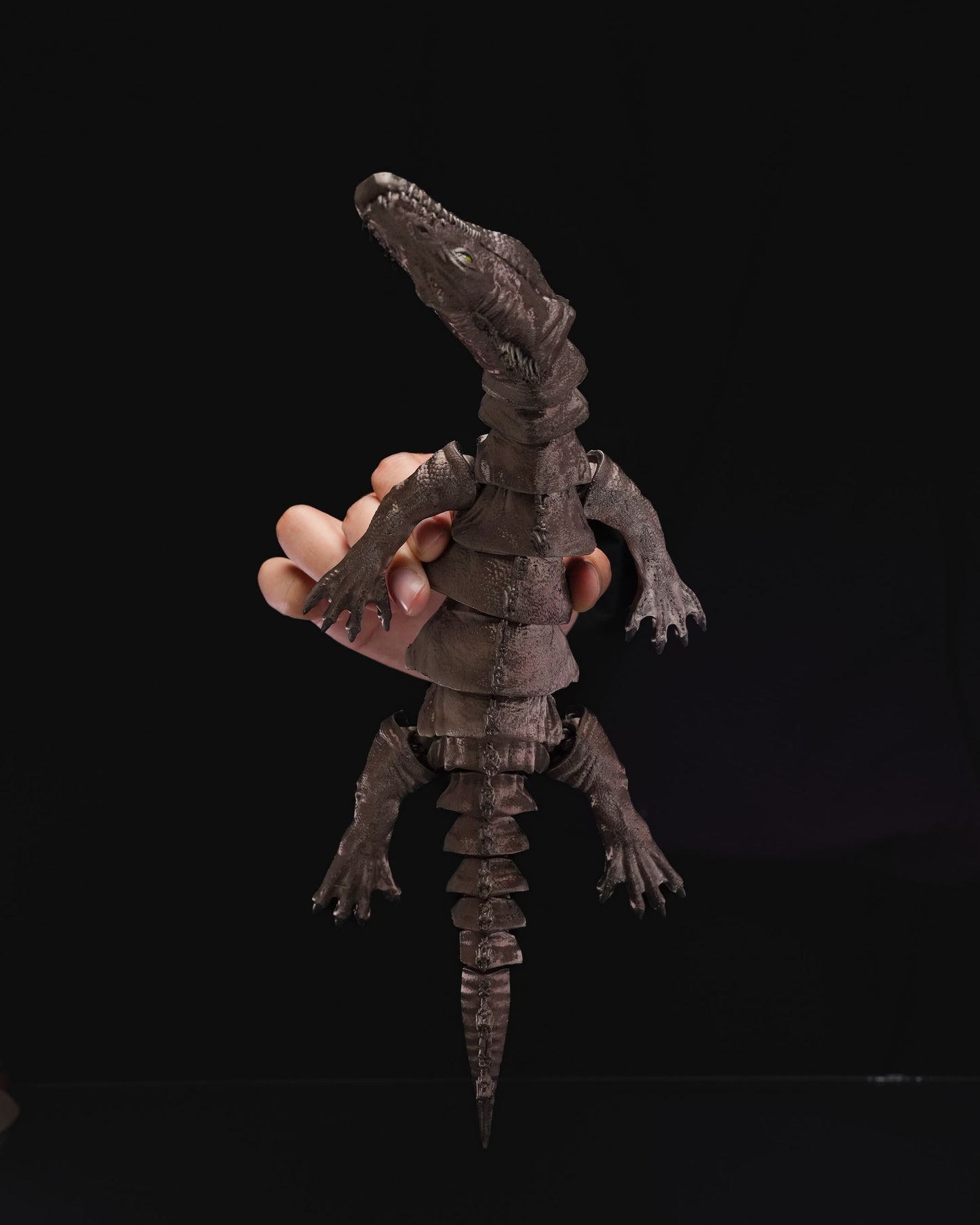 Articulated Nothosaurus