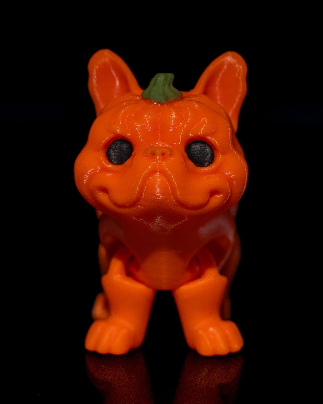 Pumpkin Dog