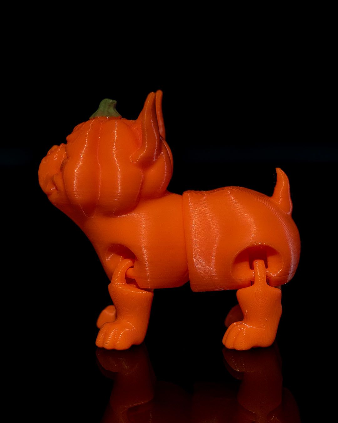 Pumpkin Dog
