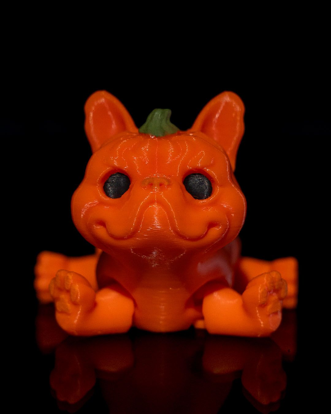 Pumpkin Dog