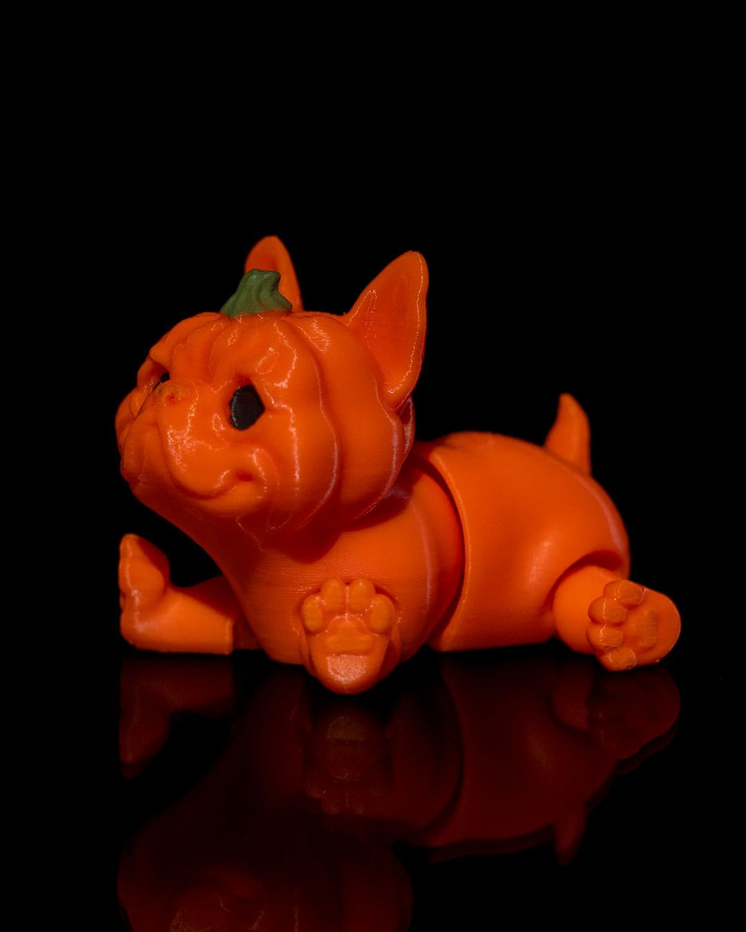Pumpkin Dog