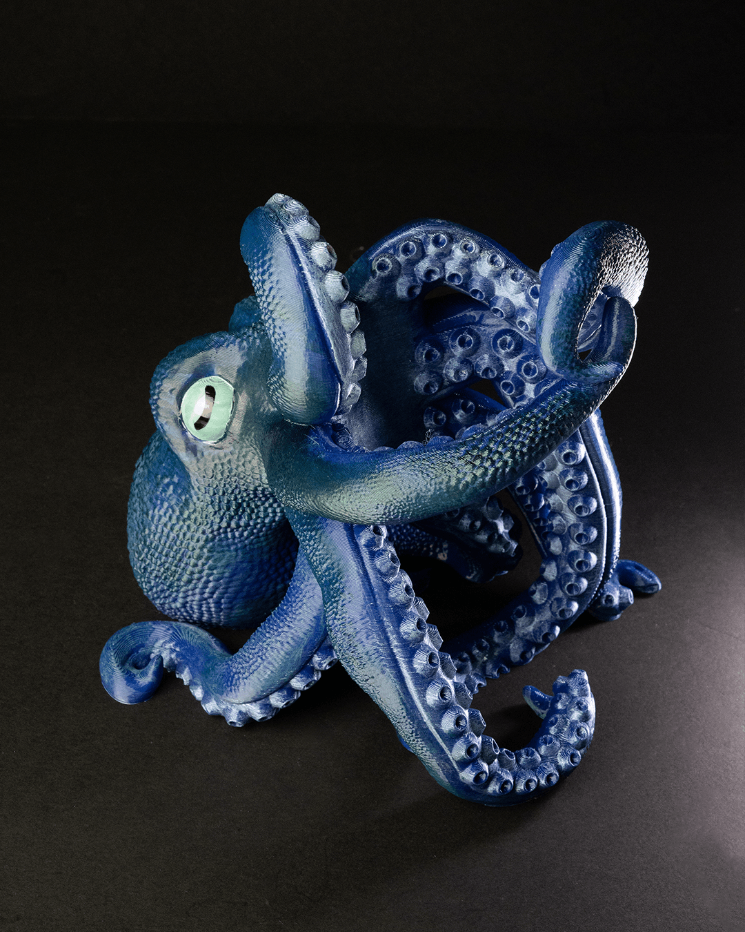 Bordeaux, the Octopus, Wine Bottle Holder